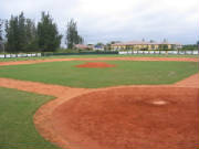 field.jpg