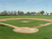field2.jpg